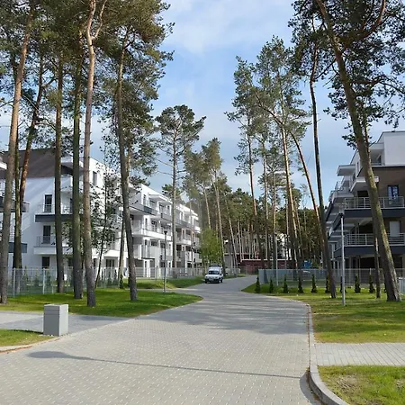 Relax 博格泽利卡